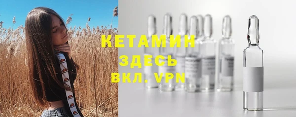сатива Богородицк