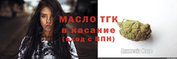 индика Верхнеуральск