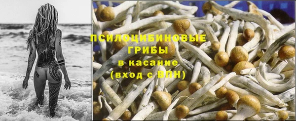 индика Верхнеуральск